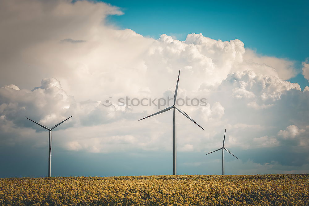 Image, Stock Photo Rolling Wind