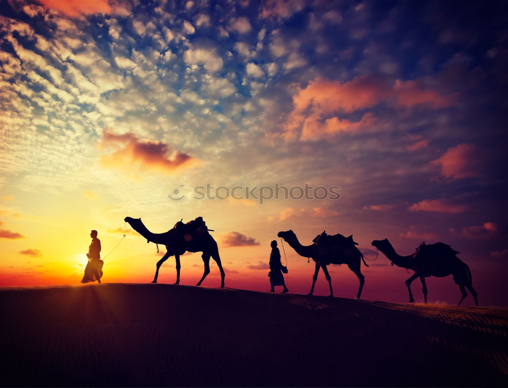 Similar – Image, Stock Photo sunset kitsch