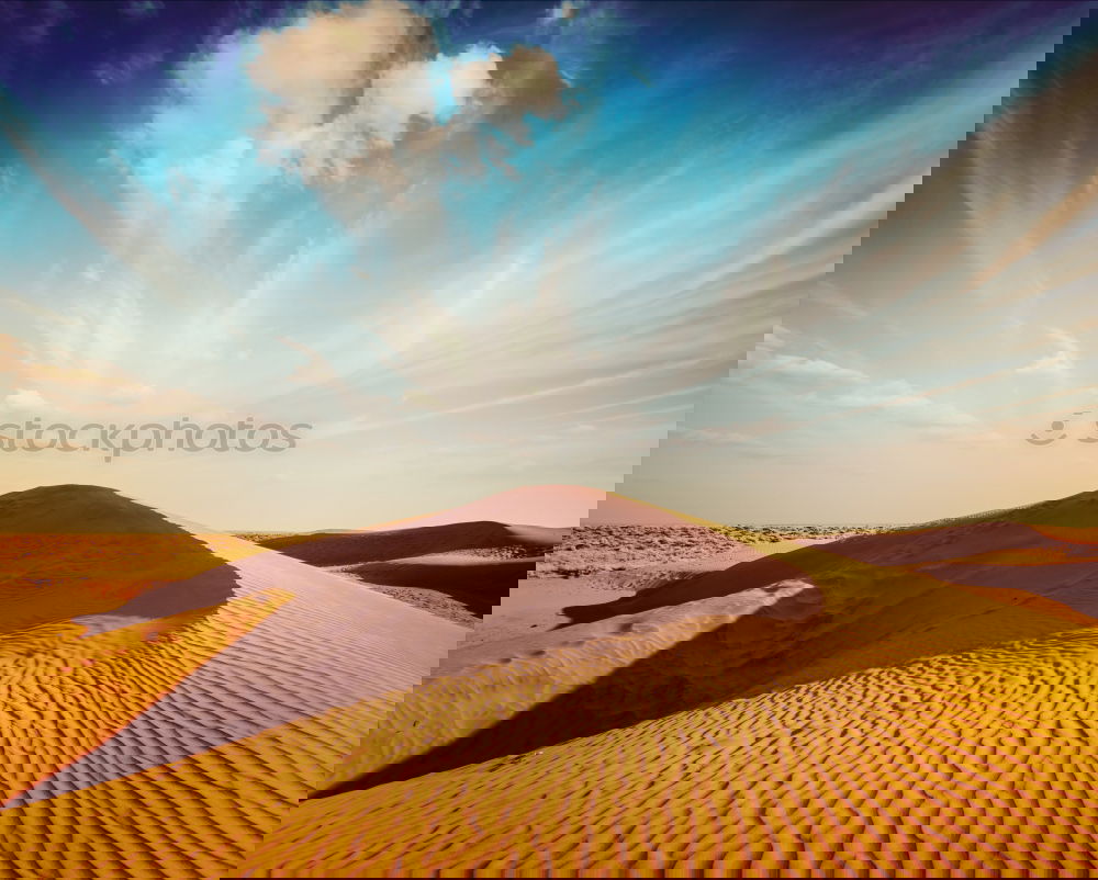 Similar – Image, Stock Photo bear cactus Art