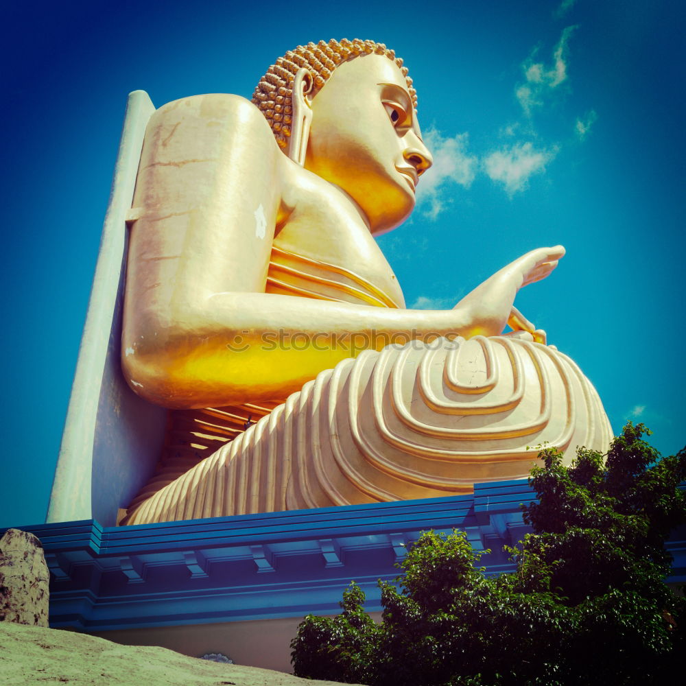 Similar – Image, Stock Photo Buddha Safari Body 1