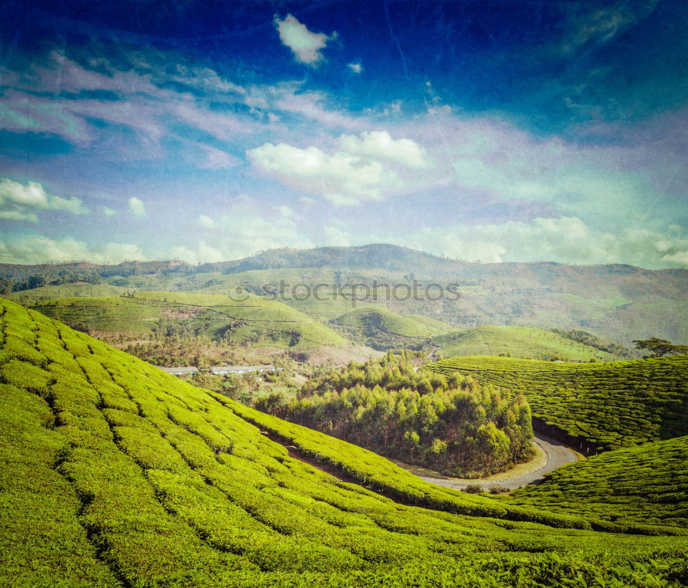 Similar – Image, Stock Photo Tea plantations of Kandy