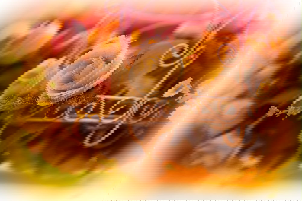 Image, Stock Photo Pralines