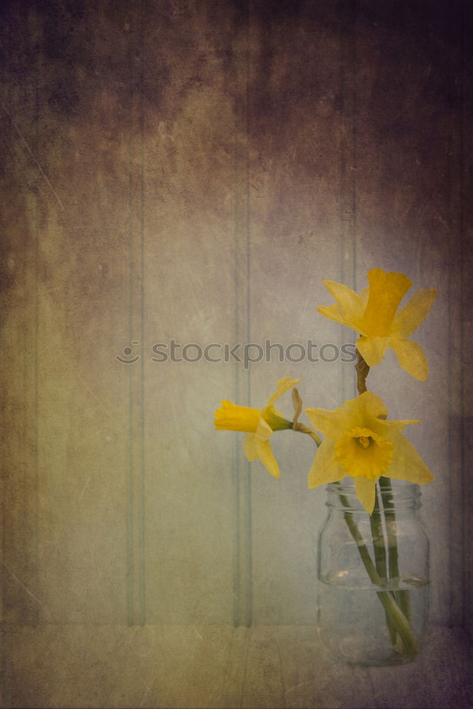 Similar – Image, Stock Photo Happy Easter Flower