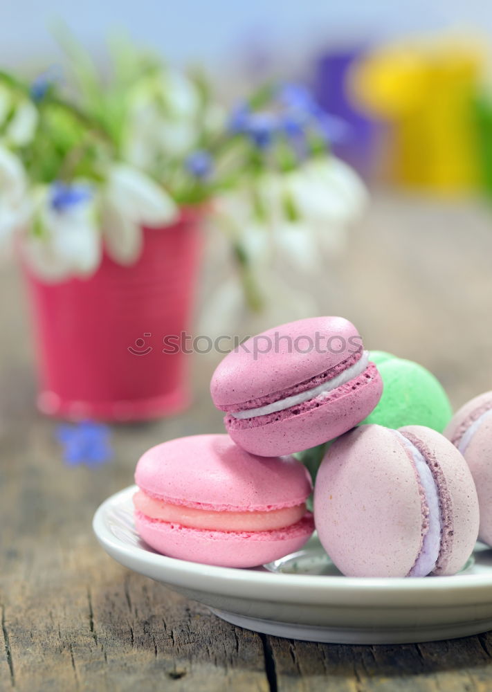 Similar – Three multi-colored almond macaroons