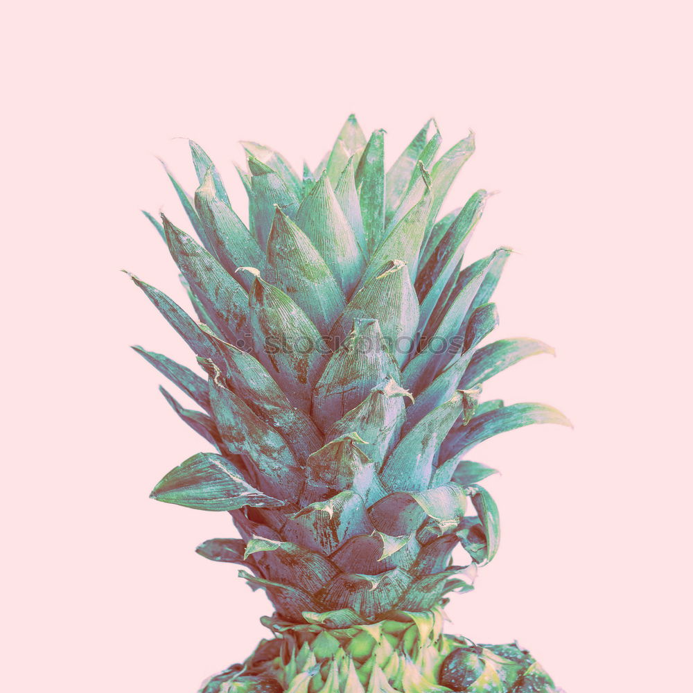 Similar – Image, Stock Photo Flying Pineapple Fruit