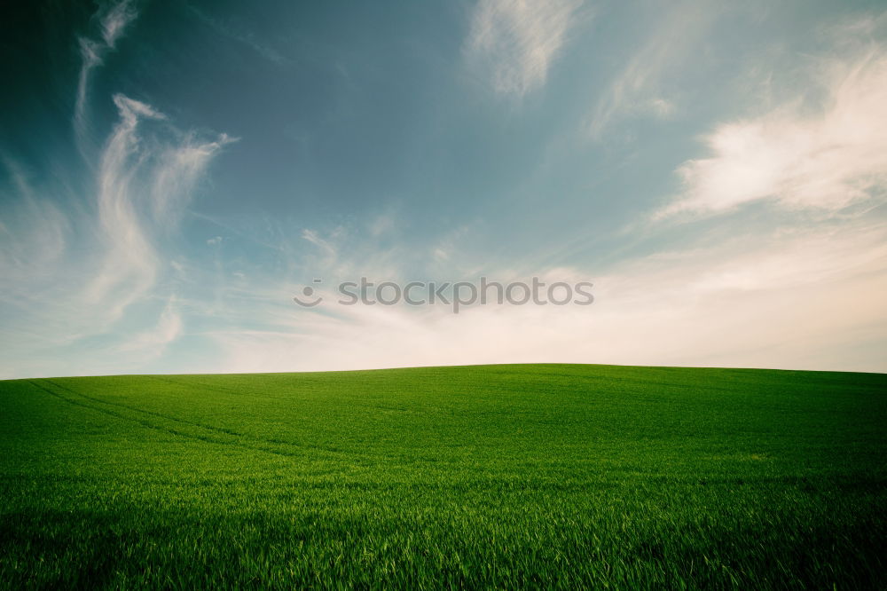 Image, Stock Photo green and blue…