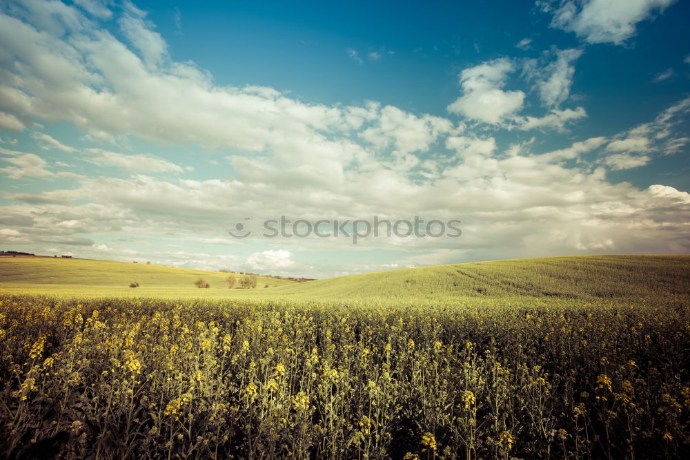 Image, Stock Photo loner Nature Landscape Sky