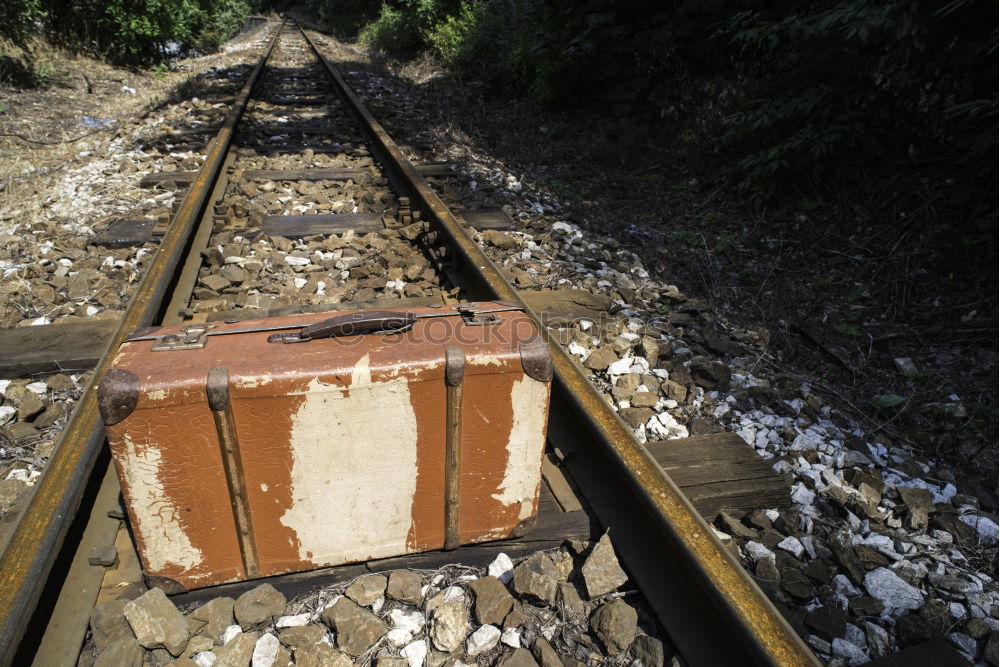 Similar – Image, Stock Photo Vintage suitcase on railway road