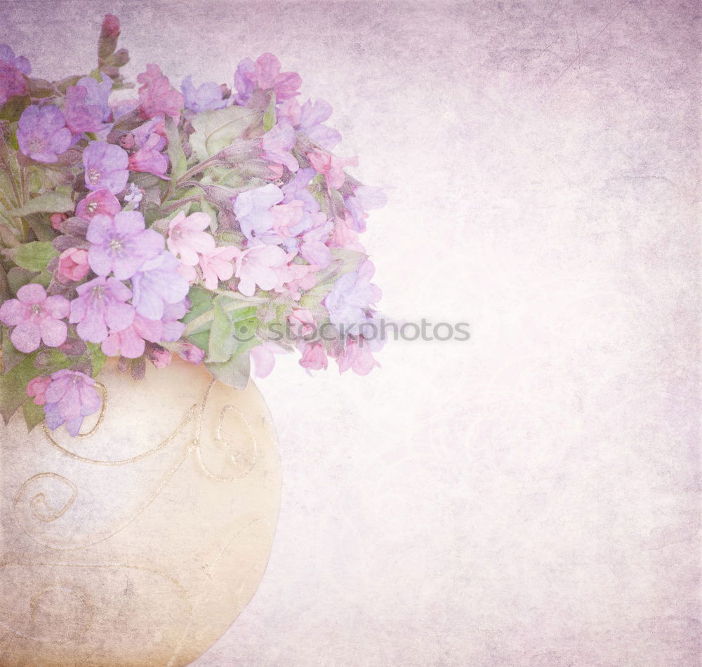 Image, Stock Photo spring blossom… Plant