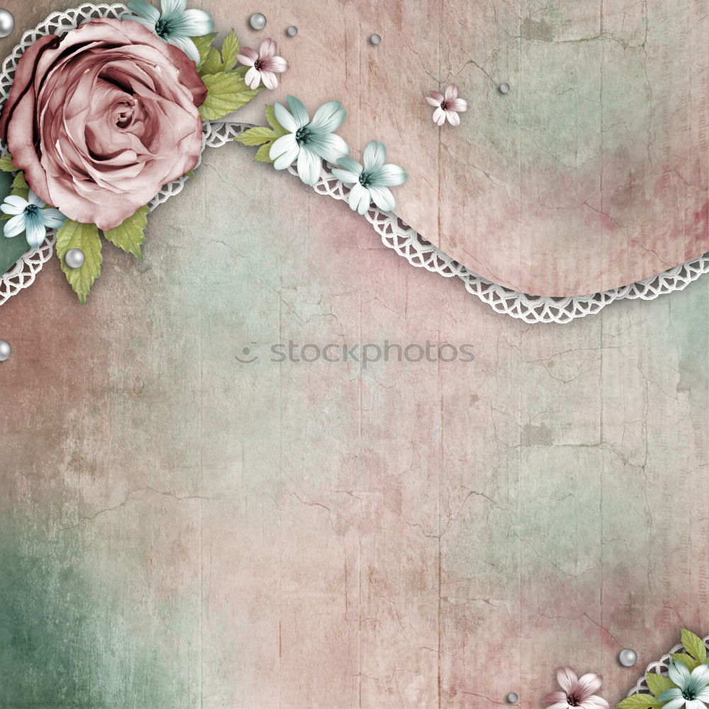 Similar – Empty greeting card with flowers and ribbon