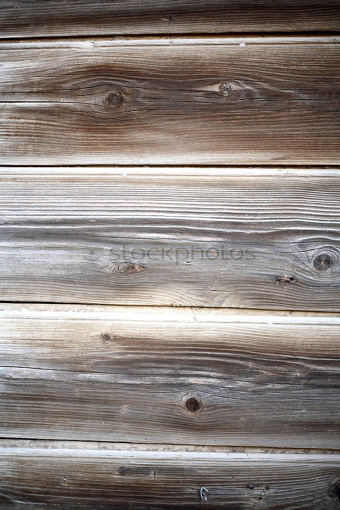 Similar – wooden wall wood texture weathered larch larch wood