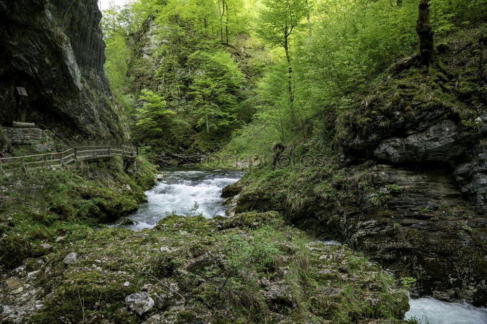 Similar – Image, Stock Photo Bridge in Ticino (CH)