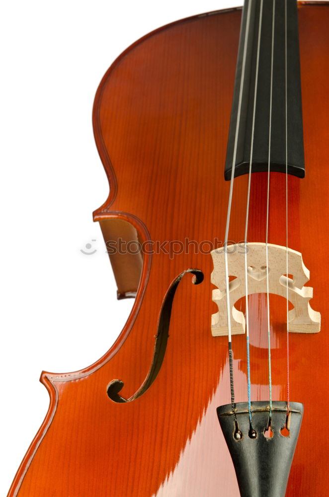 Similar – A violin photographed from above and very close up. You can see the bridge, the F holes, a part of the metal sides, a part of the light wood body and a part of the black fingerboard of the instrument.