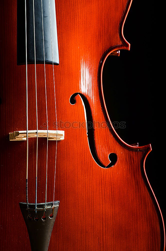 Similar – Image, Stock Photo Violin II Resonator