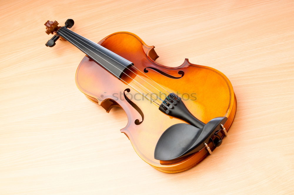 Similar – Image, Stock Photo Violin on green background