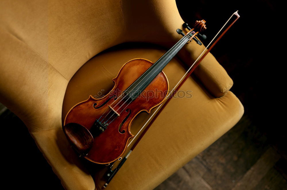 Similar – Image, Stock Photo Violin II Resonator