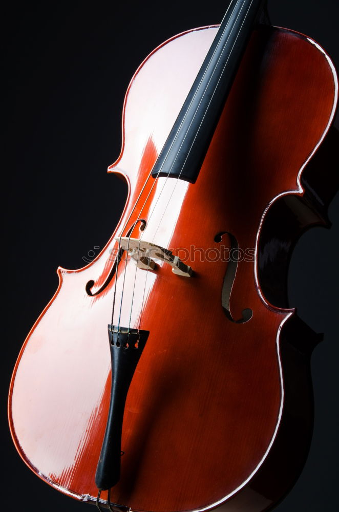 Similar – Image, Stock Photo Violin Black Background