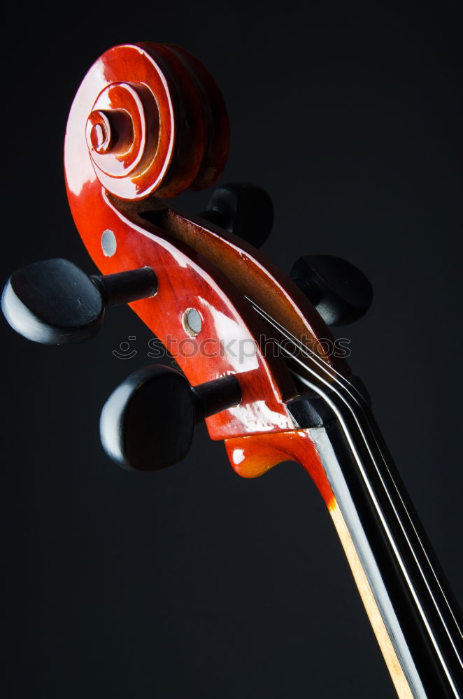 Similar – Image, Stock Photo Violin II Resonator