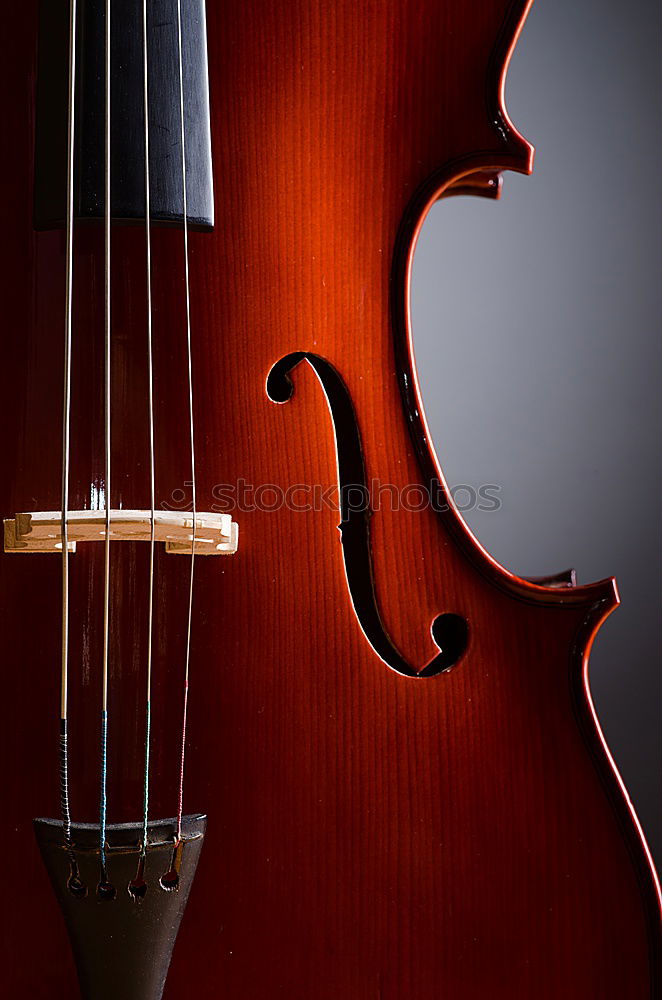 Image, Stock Photo Violin II Resonator