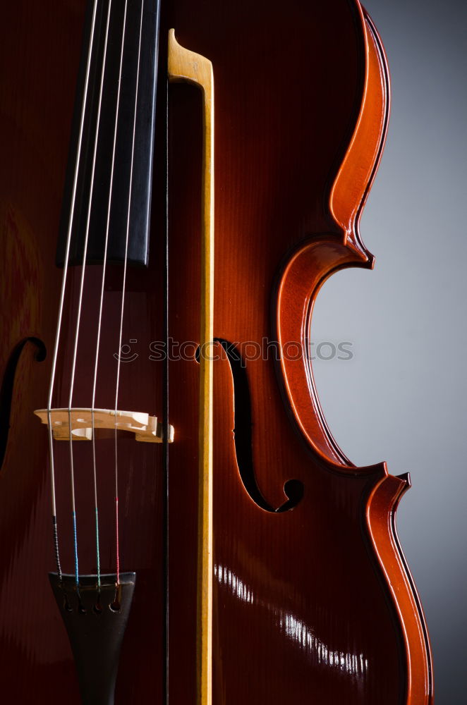 Similar – Image, Stock Photo Violin II Resonator