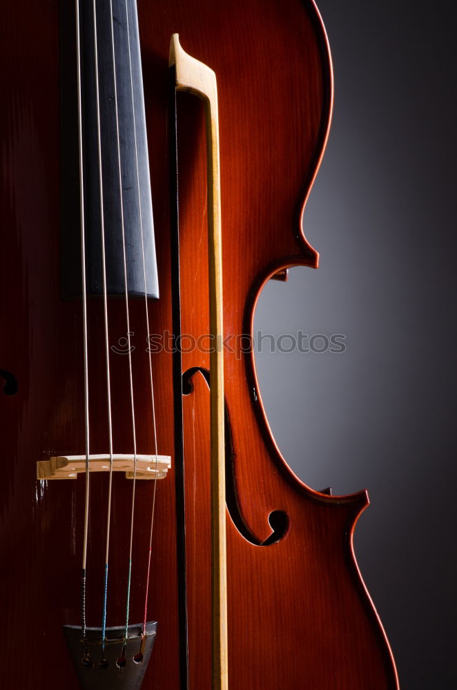 Similar – Image, Stock Photo Violin II Resonator