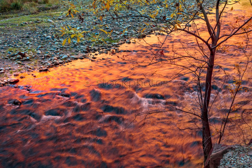 Similar – Image, Stock Photo Water Colour Mirror Calm