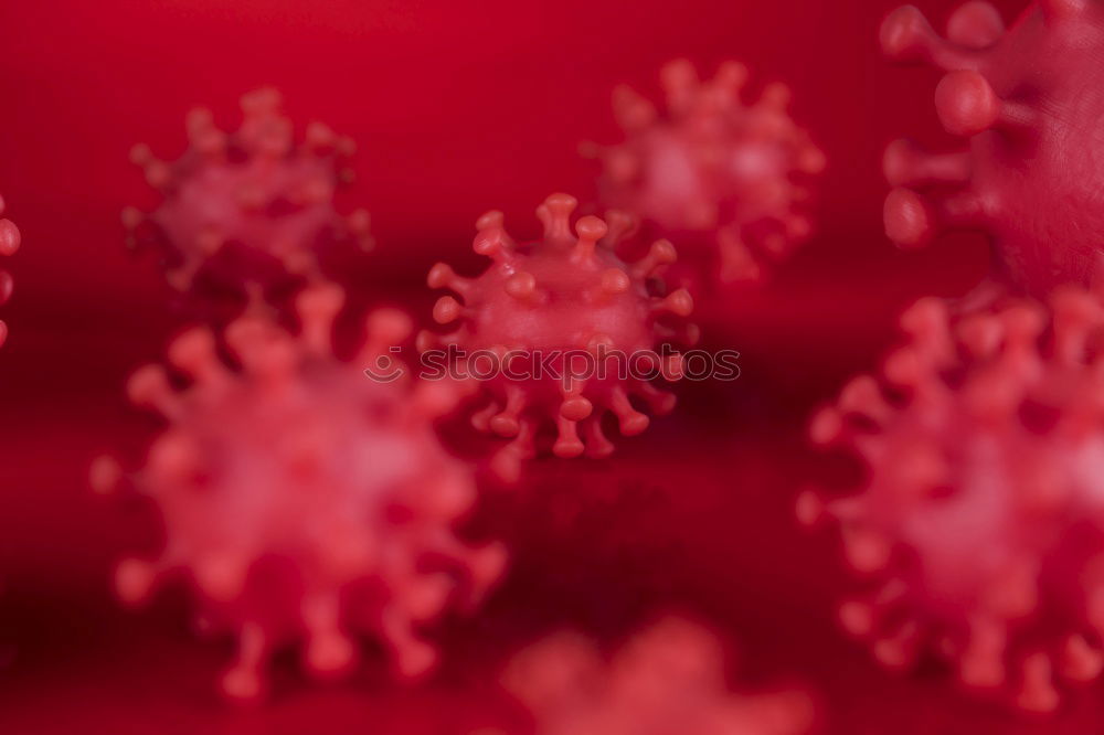 Similar – Image, Stock Photo hibiscus blossom, stamps, dust containers