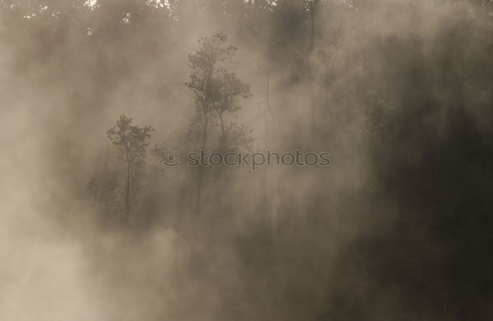 Similar – Feuerzeug Natur Landschaft