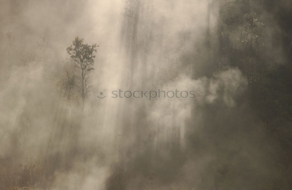 Similar – Feuerzeug Natur Landschaft