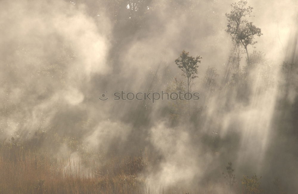 Similar – Foto Bild Aufsteigender Nebel Umwelt