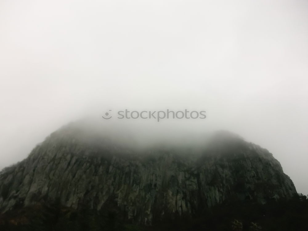 Similar – Image, Stock Photo What the fog releases…