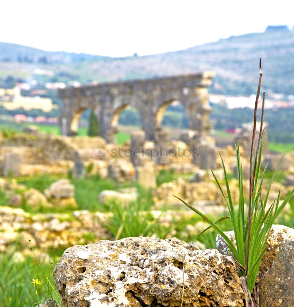 Similar – Image, Stock Photo Valley of the Temples in Agrigento, Sicily, Italy