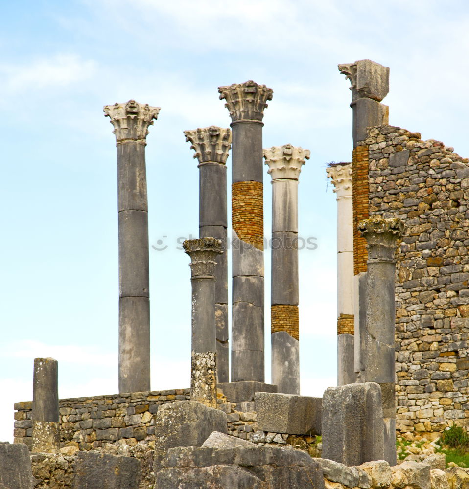 Similar – Image, Stock Photo Ancient Greek temple in Selinunte, Sicily, Italy. Detail view.