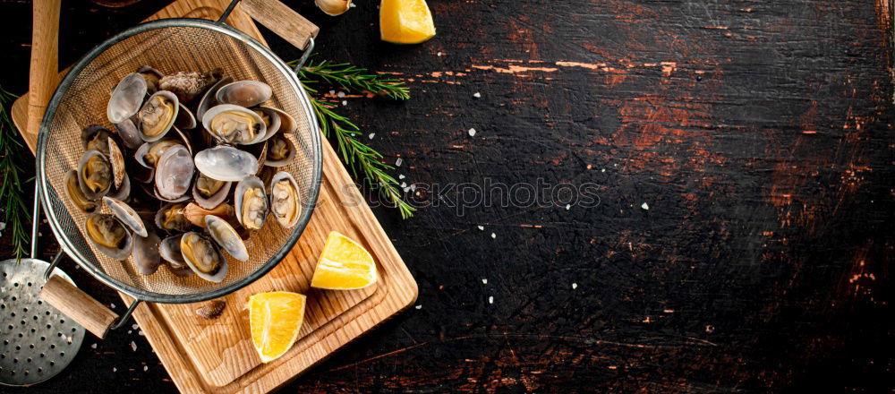 Similar – Image, Stock Photo Christmas card with fir and cone on rustic wood