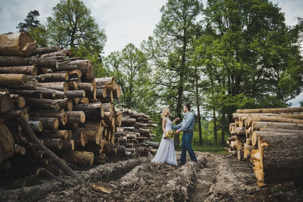 Similar – Image, Stock Photo Children playing on logs