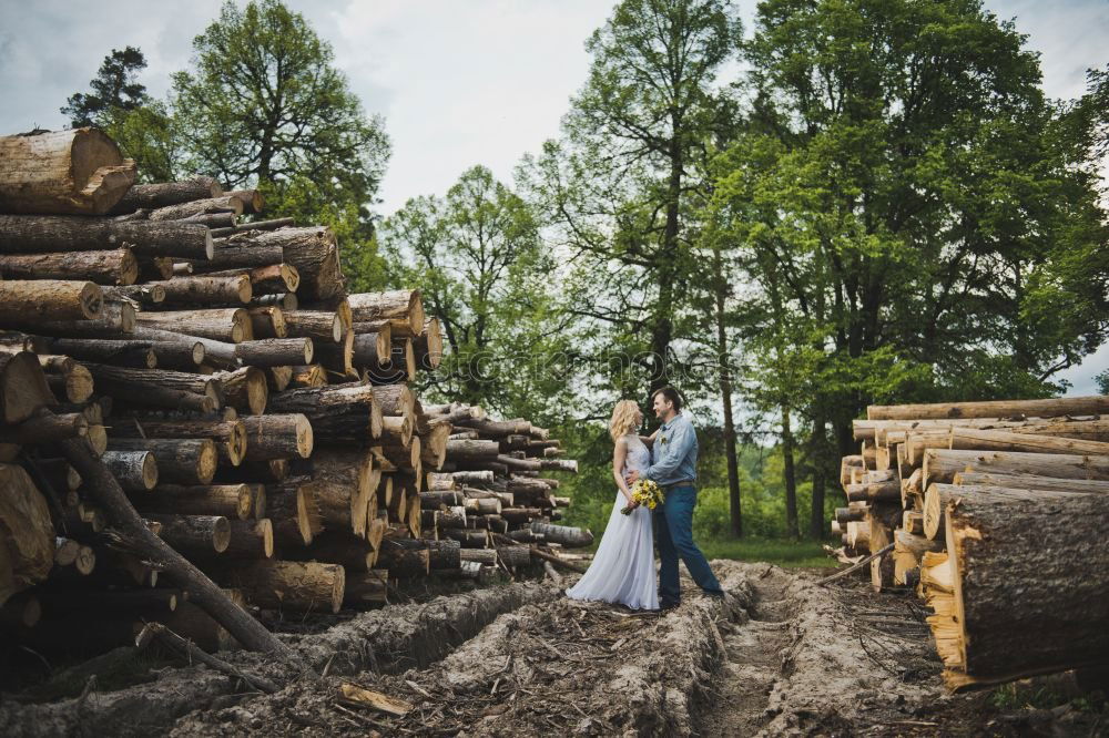 Similar – Image, Stock Photo Children playing on logs