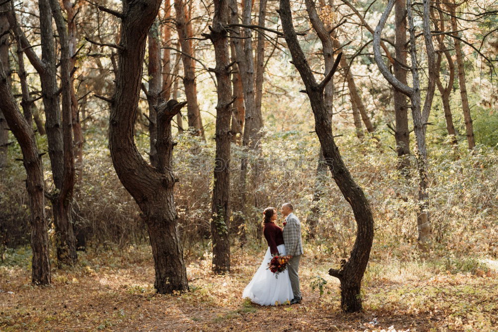 Similar – Young woman in forest behind trees