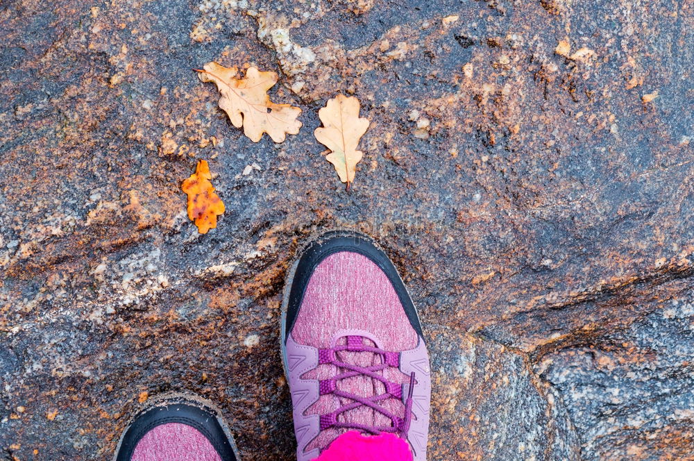 Similar – Image, Stock Photo Women’s leather casual shoes on wood in the forest