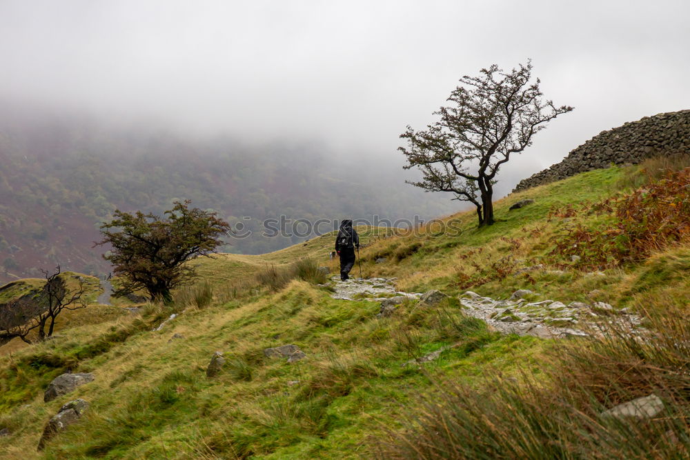 Similar – er geht ruhig wandern