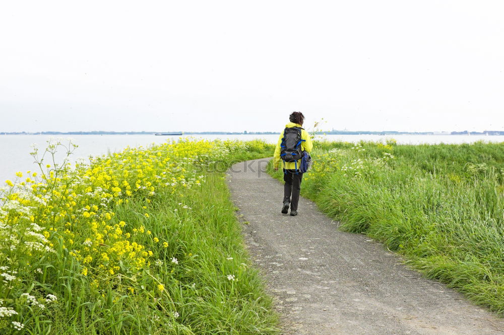 Similar – Image, Stock Photo The long road Footpath