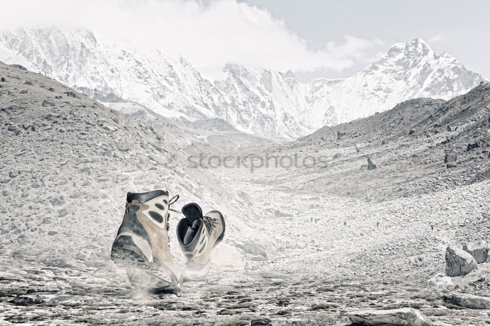 Similar – Image, Stock Photo Capricorn IV Environment