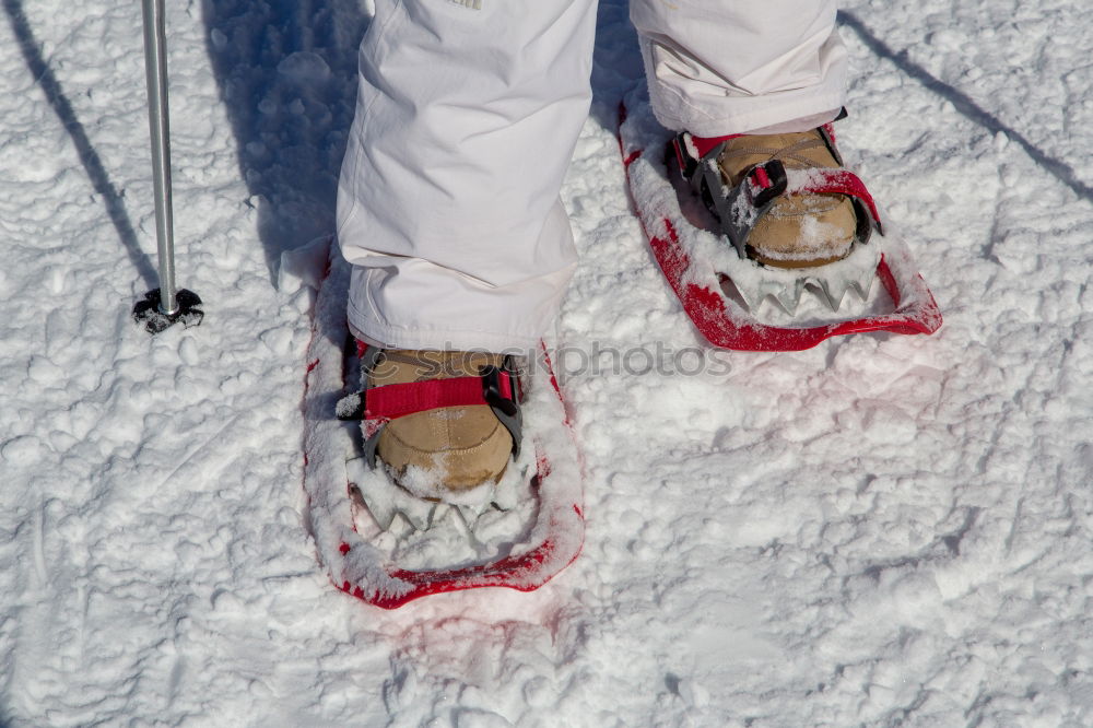 Similar – onboard Snowboard Winter