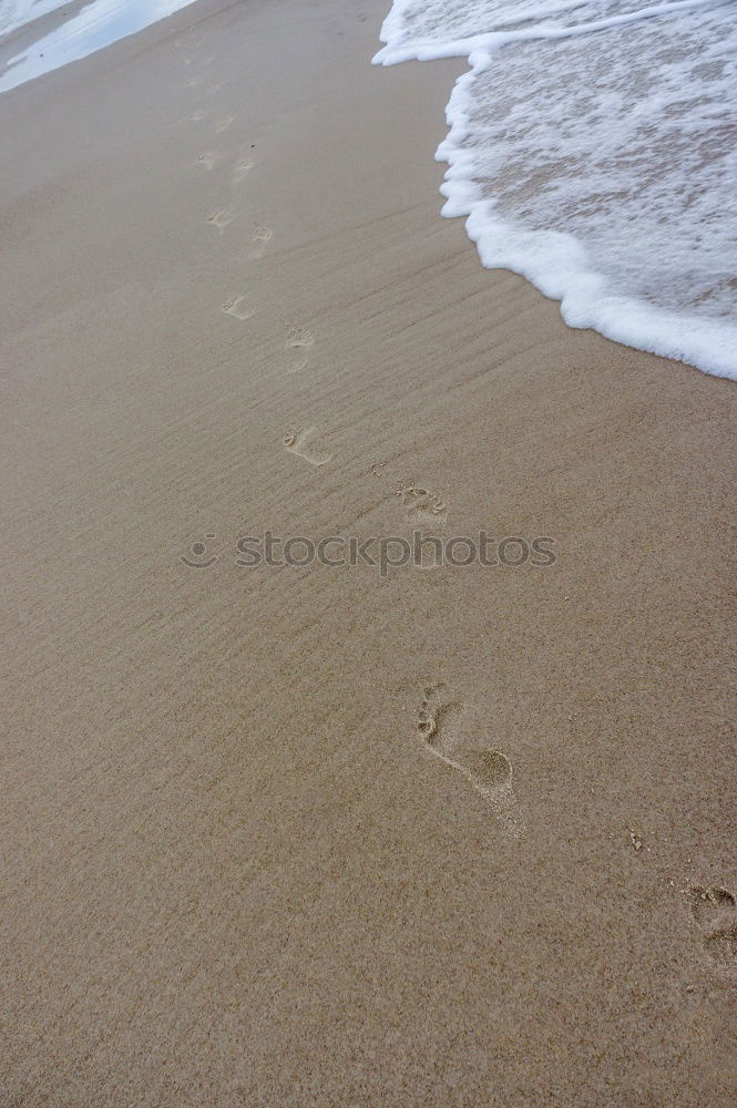 Similar – Fühl das Meer Sommer