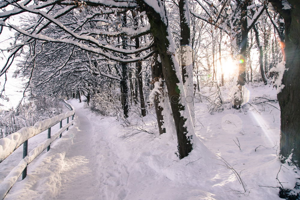 Similar – Foto Bild „Kaltestelle“ Winter kalt