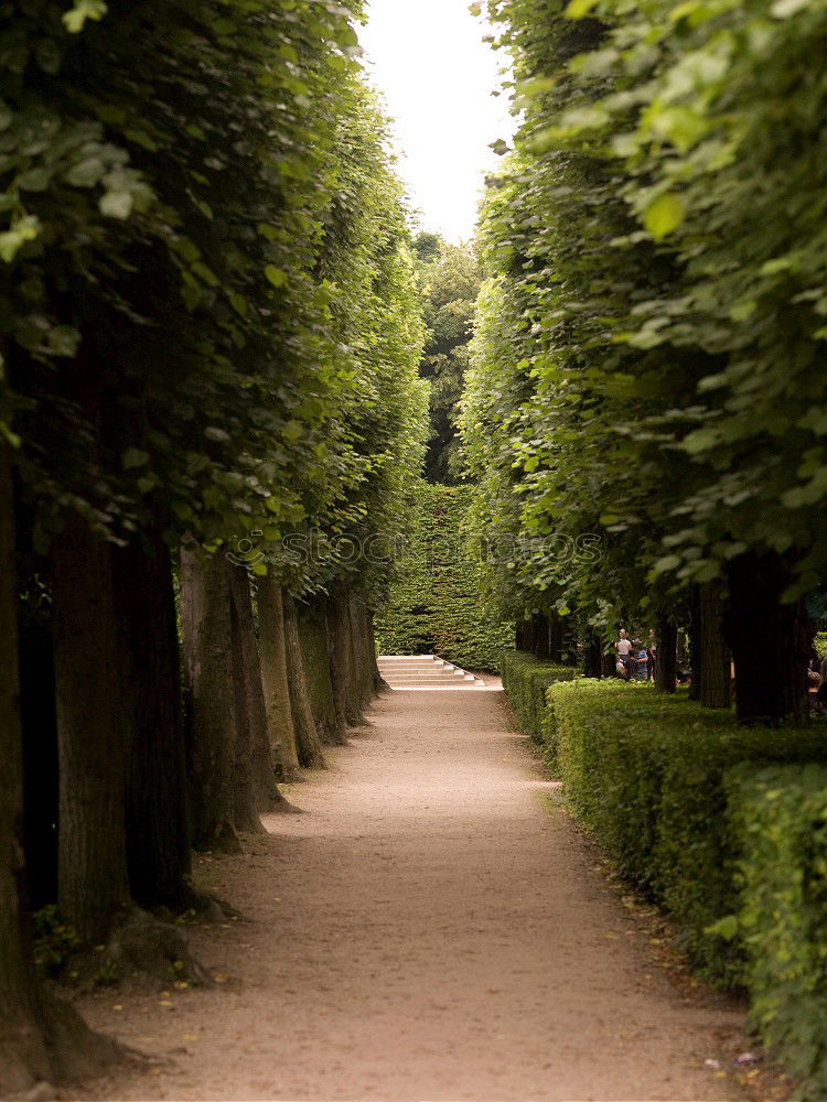 Similar – Foto Bild Schlossnähe Sightseeing