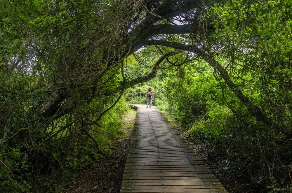 Similar – pedestrian bridge