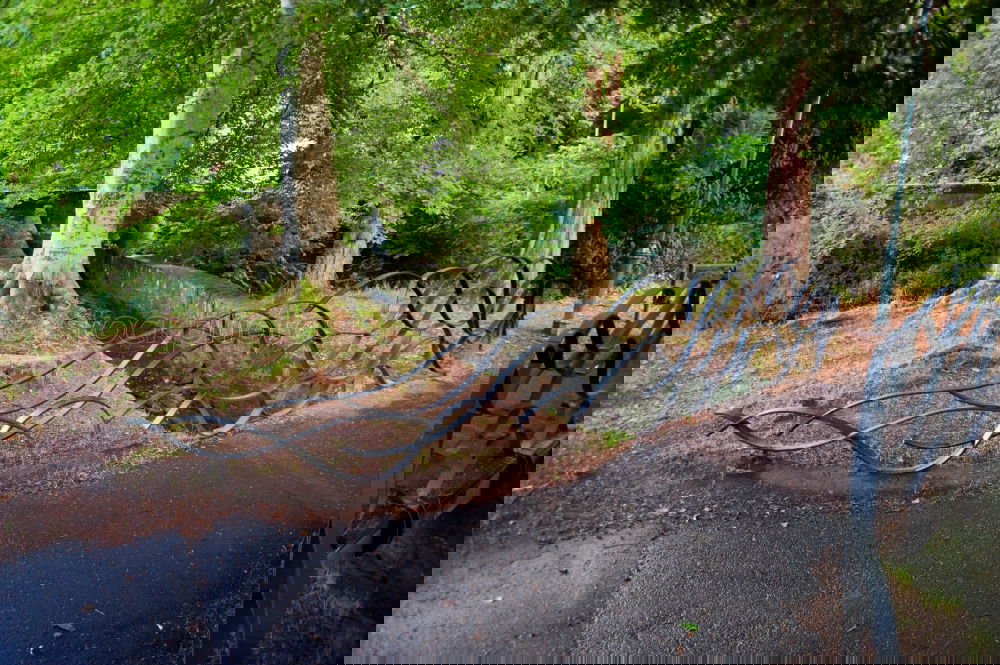 Similar – Foto Bild Fahrrad zugewachsen