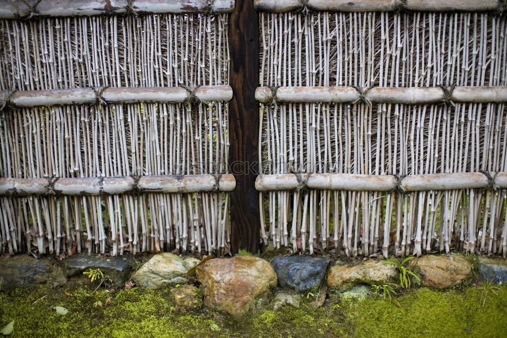 Image, Stock Photo sweep week Elements Earth