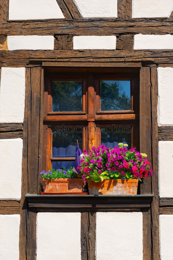 Similar – Foto Bild erntezeit in chamansülz