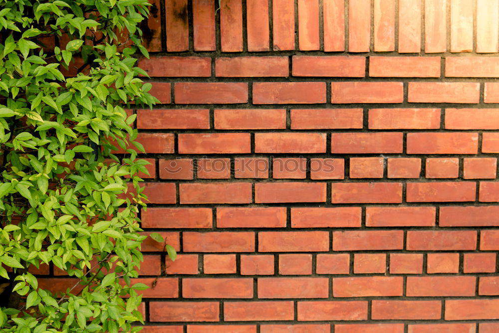 Image, Stock Photo Bricks 4-4 Wall (barrier)